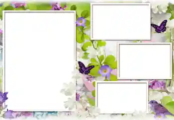 Efekt zdjęciowy z kategorii Ramki dla kobiet № 183388 Efekt zdjęciowy z kategorii Ramki dla kobiet № 183388