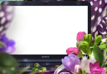 Efekt zdjęciowy z kategorii Ramki dla kobiet № 183389 Efekt zdjęciowy z kategorii Ramki dla kobiet № 183389