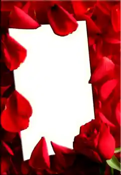 Efekt zdjęciowy z kategorii Ramki dla kobiet № 1843