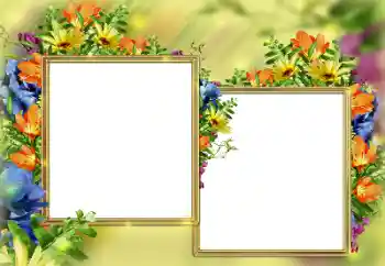 Efekt zdjęciowy z kategorii Ramki dla kobiet № 184579 Efekt zdjęciowy z kategorii Ramki dla kobiet № 184579