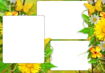 Efekt zdjęciowy z kategorii Ramki dla kobiet № 184587 Efekt zdjęciowy z kategorii Ramki dla kobiet № 184587