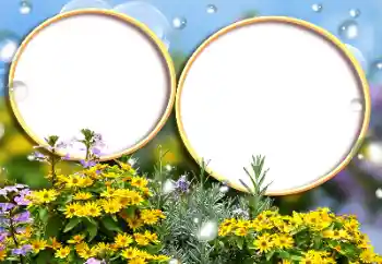 Efekt zdjęciowy z kategorii Ramki dla kobiet № 184588 Efekt zdjęciowy z kategorii Ramki dla kobiet № 184588