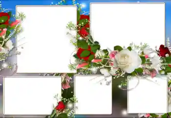 Efekt zdjęciowy z kategorii Ramki dla kobiet № 184590 Efekt zdjęciowy z kategorii Ramki dla kobiet № 184590