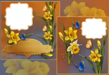 Efekt zdjęciowy z kategorii Ramki dla kobiet № 185839 Efekt zdjęciowy z kategorii Ramki dla kobiet № 185839