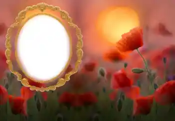 Efekt zdjęciowy z kategorii Ramki dla kobiet № 185852 Efekt zdjęciowy z kategorii Ramki dla kobiet № 185852