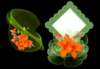 Efekt zdjęciowy z kategorii Ramki dla kobiet № 185977 Efekt zdjęciowy z kategorii Ramki dla kobiet № 185977