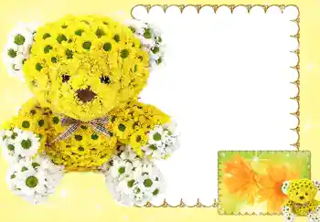 Efekt zdjęciowy z kategorii Ramki dla kobiet № 185