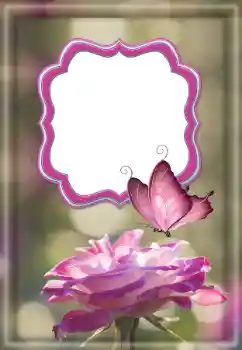 Efekt zdjęciowy z kategorii Ramki dla kobiet № 187032 Efekt zdjęciowy z kategorii Ramki dla kobiet № 187032