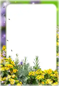 Efekt zdjęciowy z kategorii Ramki dla kobiet № 187069 Efekt zdjęciowy z kategorii Ramki dla kobiet № 187069