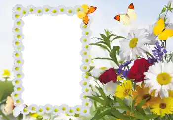 Efekt zdjęciowy z kategorii Ramki dla kobiet № 187