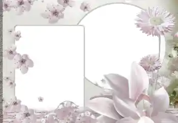 Efekt zdjęciowy z kategorii Ramki dla kobiet № 188139 Efekt zdjęciowy z kategorii Ramki dla kobiet № 188139