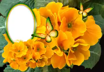 Efekt zdjęciowy z kategorii Ramki dla kobiet № 189369 Efekt zdjęciowy z kategorii Ramki dla kobiet № 189369