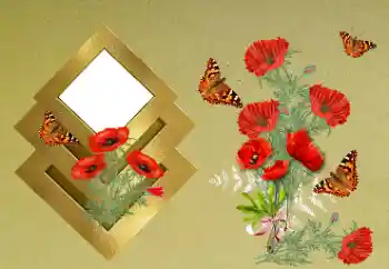 Efekt zdjęciowy z kategorii Ramki dla kobiet № 189371 Efekt zdjęciowy z kategorii Ramki dla kobiet № 189371