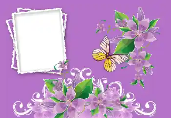 Efekt zdjęciowy z kategorii Ramki dla kobiet № 190479 Efekt zdjęciowy z kategorii Ramki dla kobiet № 190479