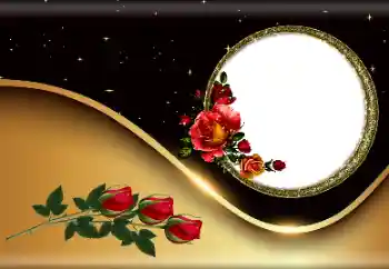 Efekt zdjęciowy z kategorii Ramki dla kobiet № 190527 Efekt zdjęciowy z kategorii Ramki dla kobiet № 190527