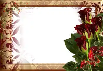 Efekt zdjęciowy z kategorii Ramki dla kobiet № 190564 Efekt zdjęciowy z kategorii Ramki dla kobiet № 190564