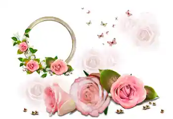 Efekt zdjęciowy z kategorii Ramki dla kobiet № 190616 Efekt zdjęciowy z kategorii Ramki dla kobiet № 190616