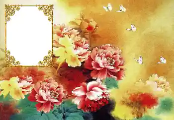 Efekt zdjęciowy z kategorii Ramki dla kobiet № 190617 Efekt zdjęciowy z kategorii Ramki dla kobiet № 190617