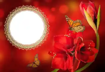 Efekt zdjęciowy z kategorii Ramki dla kobiet № 191699 Efekt zdjęciowy z kategorii Ramki dla kobiet № 191699