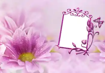 Efekt zdjęciowy z kategorii Ramki dla kobiet № 191747 Efekt zdjęciowy z kategorii Ramki dla kobiet № 191747