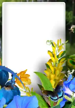 Efekt zdjęciowy z kategorii Ramki dla kobiet № 192828 Efekt zdjęciowy z kategorii Ramki dla kobiet № 192828