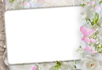 Efekt zdjęciowy z kategorii Ramki dla kobiet № 192942 Efekt zdjęciowy z kategorii Ramki dla kobiet № 192942