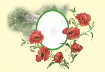 Efekt zdjęciowy z kategorii Ramki dla kobiet № 193046 Efekt zdjęciowy z kategorii Ramki dla kobiet № 193046