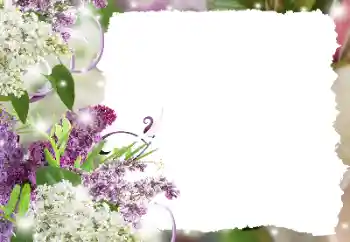 Efekt zdjęciowy z kategorii Ramki dla kobiet № 194234 Efekt zdjęciowy z kategorii Ramki dla kobiet № 194234