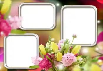 Efekt zdjęciowy z kategorii Ramki dla kobiet № 195263 Efekt zdjęciowy z kategorii Ramki dla kobiet № 195263