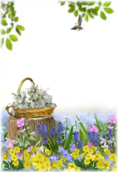 Efekt zdjęciowy z kategorii Ramki dla kobiet № 195329 Efekt zdjęciowy z kategorii Ramki dla kobiet № 195329