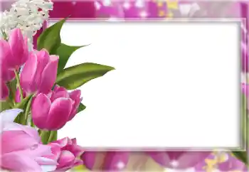 Efekt zdjęciowy z kategorii Ramki dla kobiet № 196363 Efekt zdjęciowy z kategorii Ramki dla kobiet № 196363