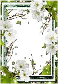 Efekt zdjęciowy z kategorii Ramki dla kobiet № 196595 Efekt zdjęciowy z kategorii Ramki dla kobiet № 196595