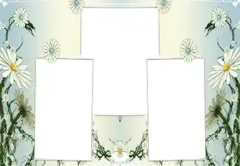 Efekt zdjęciowy z kategorii Ramki dla kobiet № 196602 Efekt zdjęciowy z kategorii Ramki dla kobiet № 196602