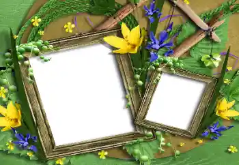 Efekt zdjęciowy z kategorii Ramki dla kobiet № 196631