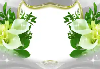 Efekt zdjęciowy z kategorii Ramki dla kobiet № 197643