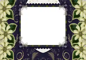 Efekt zdjęciowy z kategorii Ramki dla kobiet № 197644