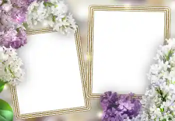 Efekt zdjęciowy z kategorii Ramki dla kobiet № 198787 Efekt zdjęciowy z kategorii Ramki dla kobiet № 198787