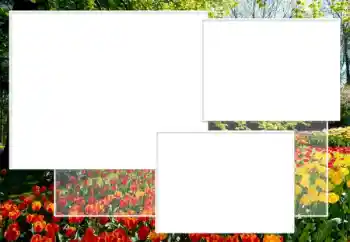 Efekt zdjęciowy z kategorii Ramki dla kobiet № 198891 Efekt zdjęciowy z kategorii Ramki dla kobiet № 198891