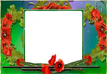 Efekt zdjęciowy z kategorii Ramki dla kobiet № 198910 Efekt zdjęciowy z kategorii Ramki dla kobiet № 198910