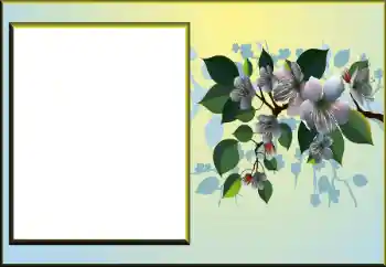 Efekt zdjęciowy z kategorii Ramki dla kobiet № 198924 Efekt zdjęciowy z kategorii Ramki dla kobiet № 198924