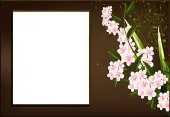 Efekt zdjęciowy z kategorii Ramki dla kobiet № 198973 Efekt zdjęciowy z kategorii Ramki dla kobiet № 198973