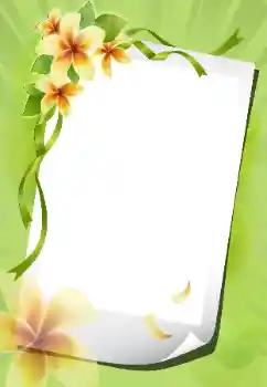 Efekt zdjęciowy z kategorii Ramki dla kobiet № 199012 Efekt zdjęciowy z kategorii Ramki dla kobiet № 199012