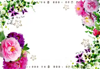 Efekt zdjęciowy z kategorii Ramki dla kobiet № 20199