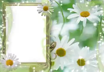 Efekt zdjęciowy z kategorii Ramki dla kobiet № 202