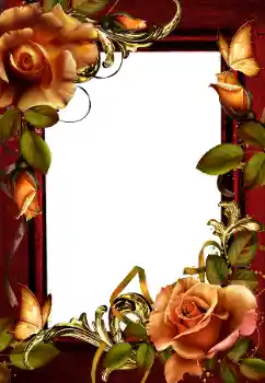 Efekt zdjęciowy z kategorii Ramki dla kobiet № 203259 Efekt zdjęciowy z kategorii Ramki dla kobiet № 203259