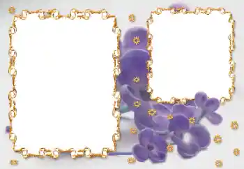 Efekt zdjęciowy z kategorii Ramki dla kobiet № 203262 Efekt zdjęciowy z kategorii Ramki dla kobiet № 203262