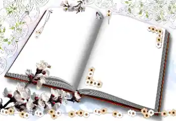 Efekt zdjęciowy z kategorii Ramki dla kobiet № 203311 Efekt zdjęciowy z kategorii Ramki dla kobiet № 203311