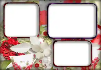 Efekt zdjęciowy z kategorii Ramki dla kobiet № 203315 Efekt zdjęciowy z kategorii Ramki dla kobiet № 203315