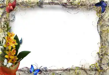 Efekt zdjęciowy z kategorii Ramki dla kobiet № 205374 Efekt zdjęciowy z kategorii Ramki dla kobiet № 205374