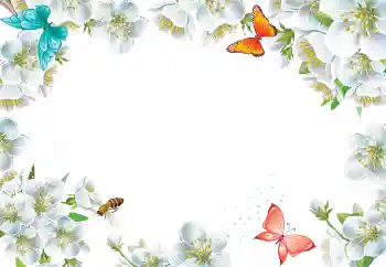 Efekt zdjęciowy z kategorii Ramki dla kobiet № 205423 Efekt zdjęciowy z kategorii Ramki dla kobiet № 205423